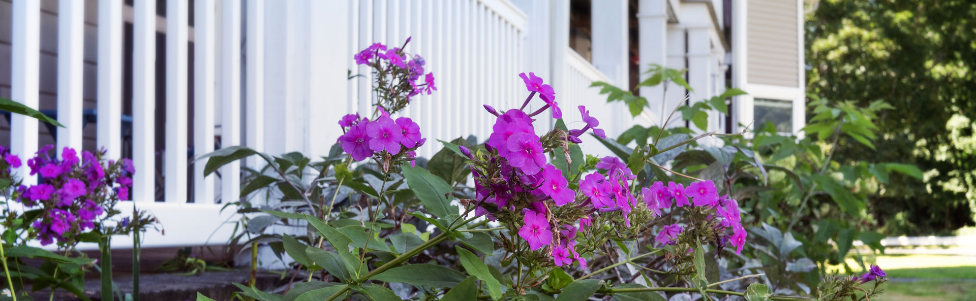 Our Gallery Holbrook Housing Authority